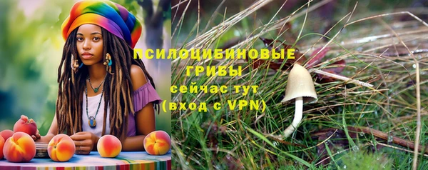 синтетический гашиш Осташков