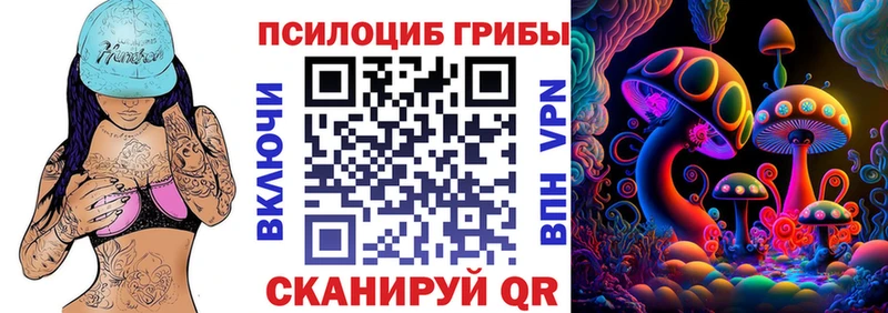 магазин продажи наркотиков  Снежинск  Псилоцибиновые грибы GOLDEN TEACHER 