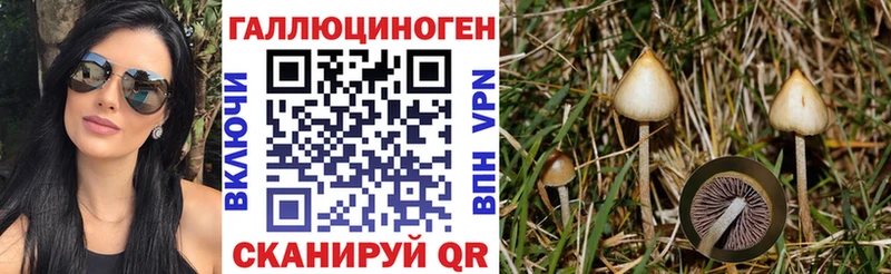 Псилоцибиновые грибы мицелий Снежинск