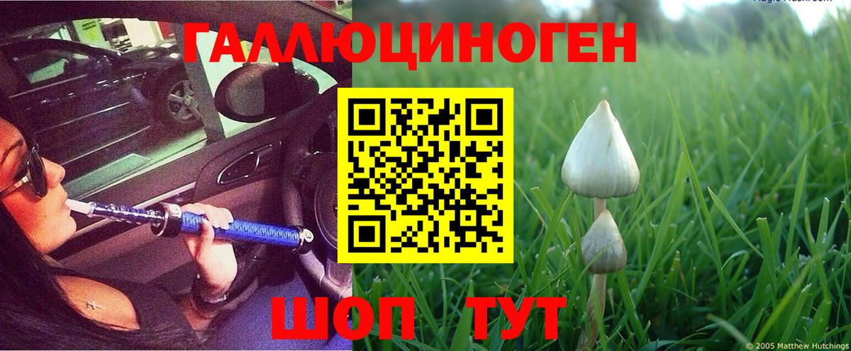 Снежинск  Галлюциногенные грибы Cubensis  Вход с VPN 